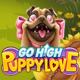 game logo by RubyPlay on vegasinoonline.casino